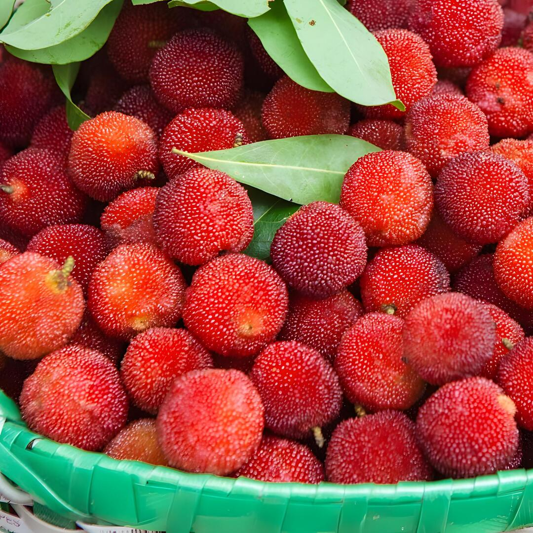Yangmei Berry SC