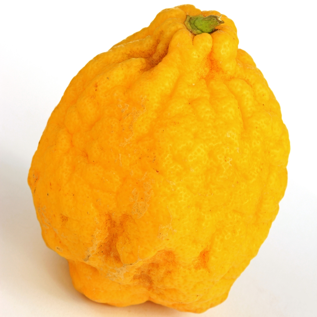 Cedro (Fruit) Flavour: Liquid Concentrate for Food & Beverage Producers