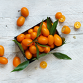 Kumquat Flavour: Liquid Concentrate for Food & Beverage Producers