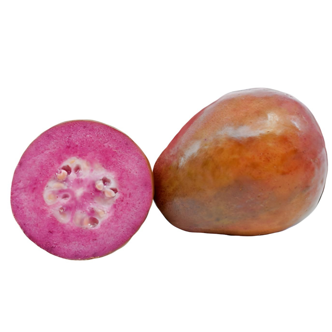 Malaysian Guava Flavour: Liquid Concentrate for Food & Beverage Producers