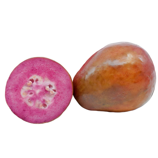Malaysian Guava Flavour: Liquid Concentrate for Food & Beverage Producers