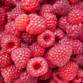Natural Raspberry Flavour: Liquid Concentrate for Food & Beverage Producers