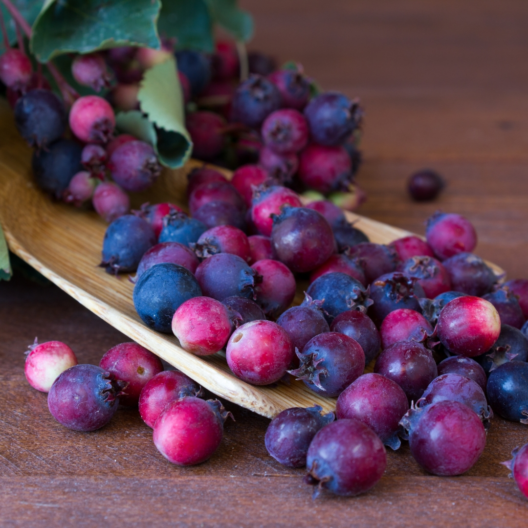 Natural Saskatoon Berries TTB Flavour: Liquid Concentrate for Food & Beverage Producers