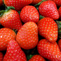 Natural Strawberry (Juicy) Flavour: Liquid Concentrate for Food & Beverage Producers