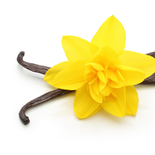 Vanilla Pompona Flavour: Liquid Concentrate for Food & Beverage Producers