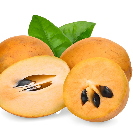 Zapote Flavour: Liquid Concentrate for Food & Beverage Producers
